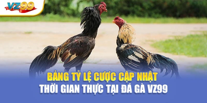 Bảng tỷ lệ cược cập nhật thời gian thực tại đá gà VZ99
