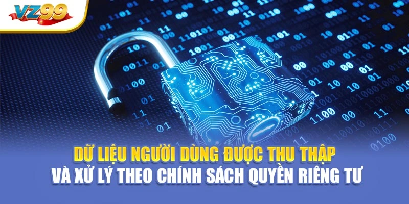 Dữ liệu người dùng được thu thập và xử lý theo chính sách quyền riêng tư