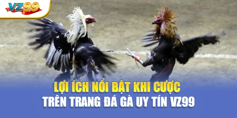 Lợi ích nổi bật khi cược trên trang đá gà uy tín VZ99