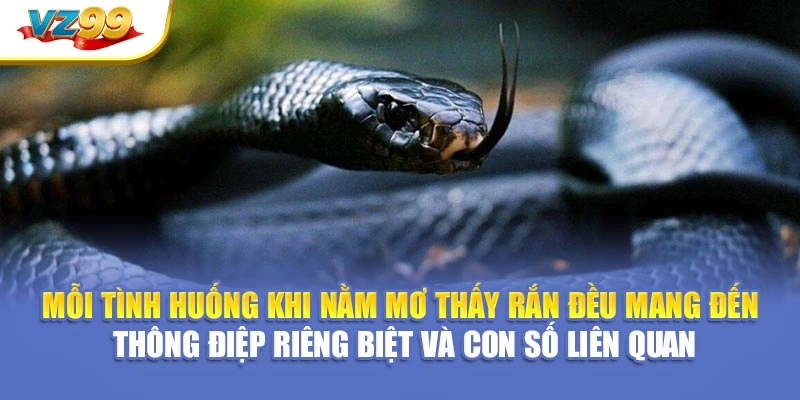 Mỗi tình huống khi nằm mơ thấy rắn đều mang đến thông điệp riêng biệt và con số liên quan