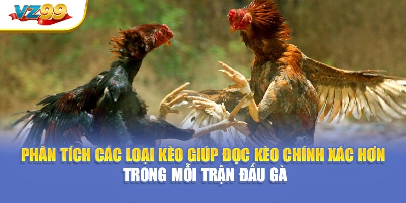 Phân tích các loại kèo giúp đọc kèo chính xác hơn trong mỗi trận đấu gà